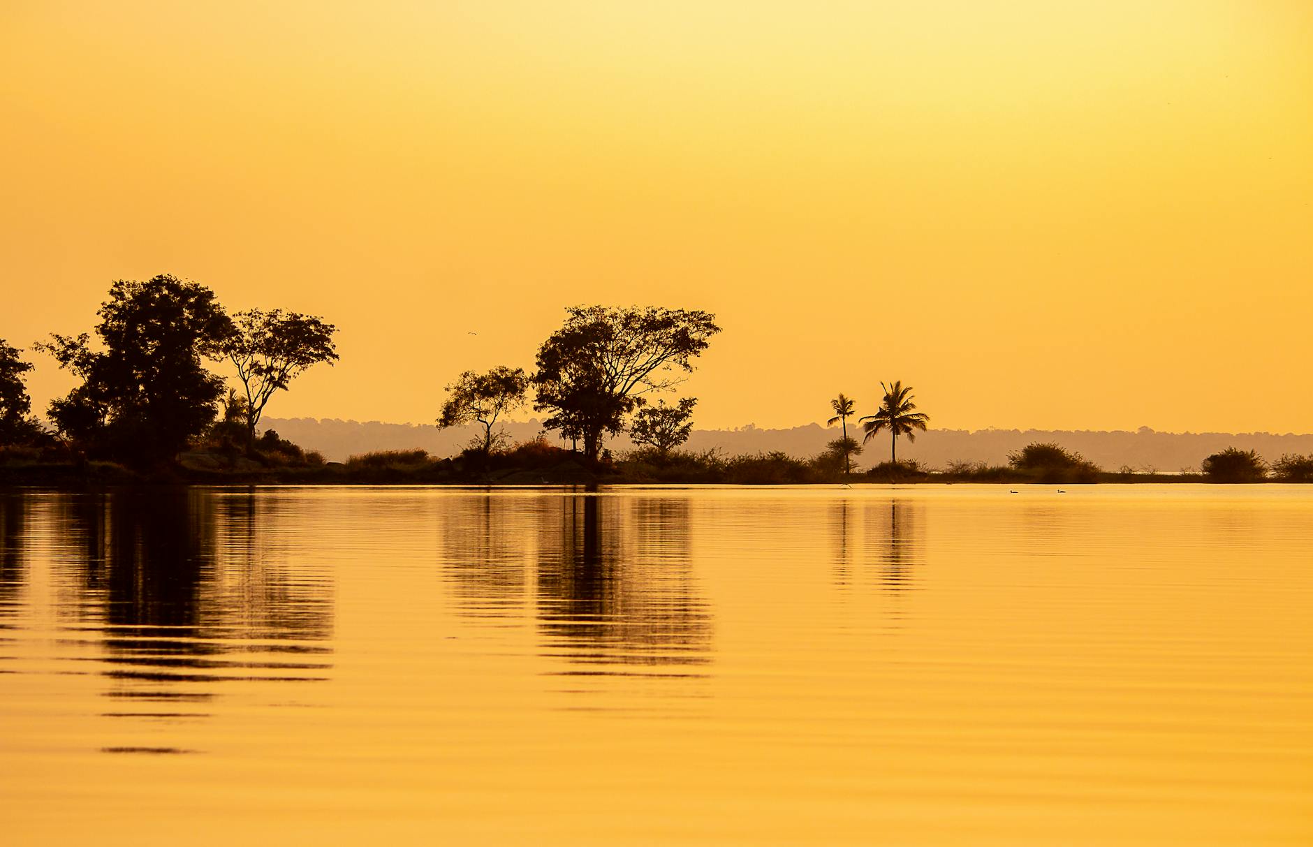 Semantic SEO for topical authority