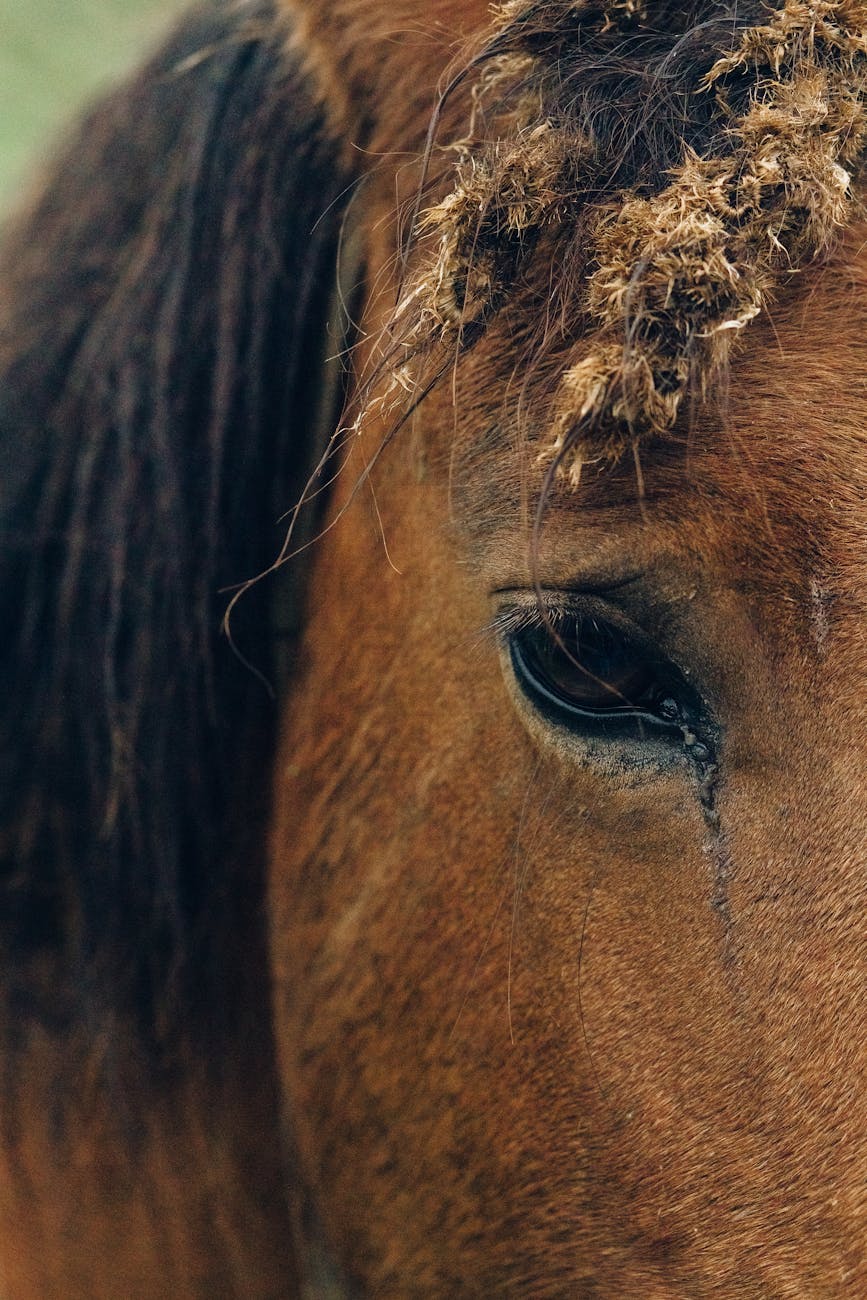 Internal link structure: master your SEO architecture