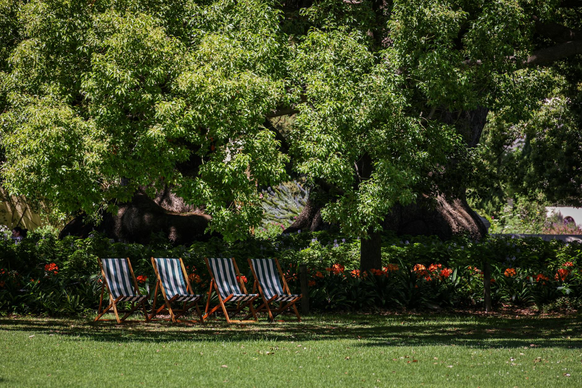 Internal linking strategy: mastering authority flow