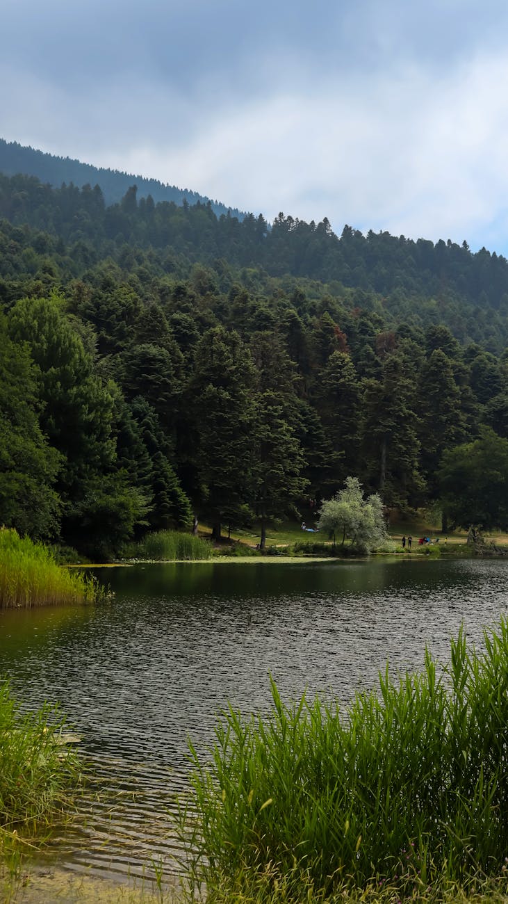 Long tail keywords: the path to profitable SEO growth