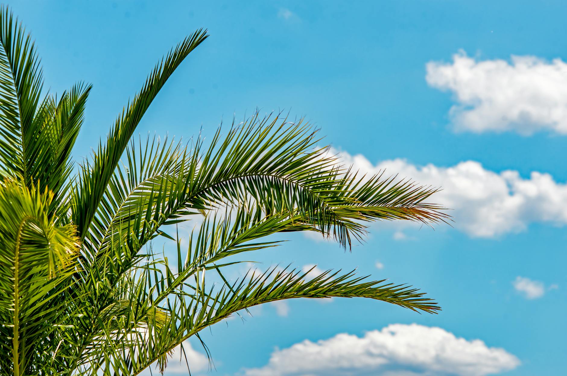 Google e-a-t and y-m-y-l: the core rules for supreme ranking