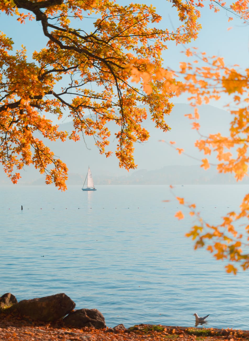 Mastering off-page seo strategies for domain authority