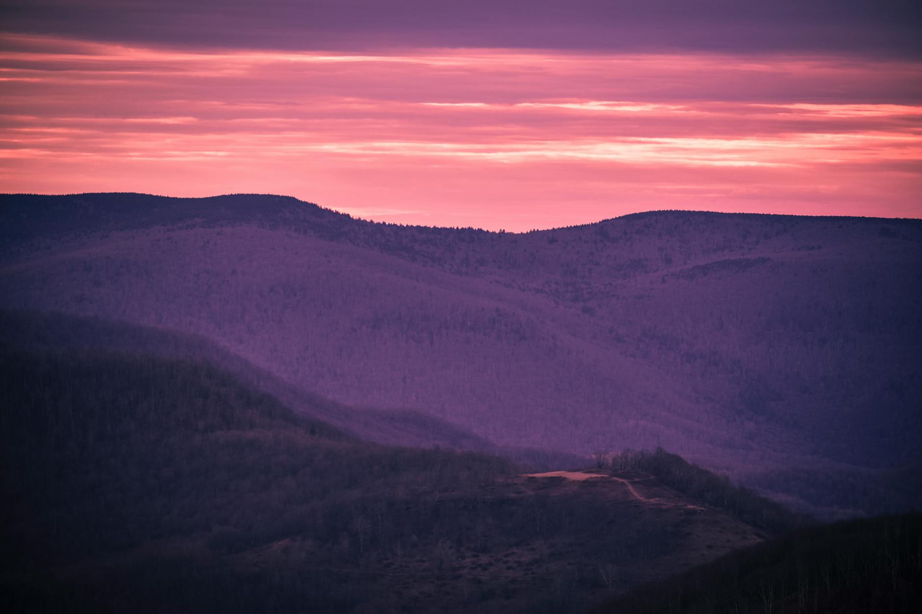 Topical authority: the cornerstone of modern SEO