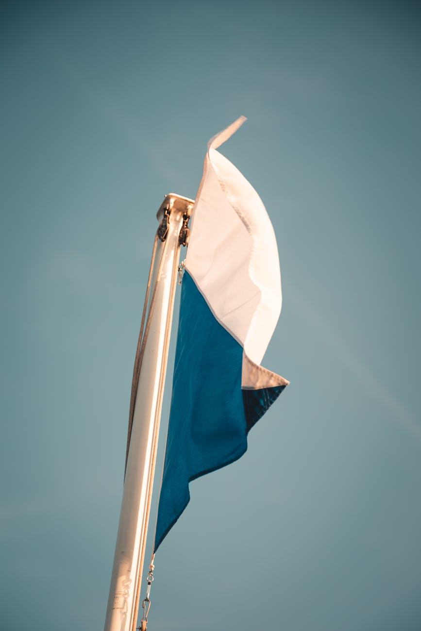 Programmatic advertising: The future of digital marketing ROI