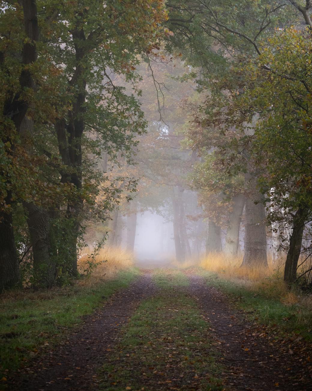 Advanced technical seo: Scaling performance and crawl efficiency